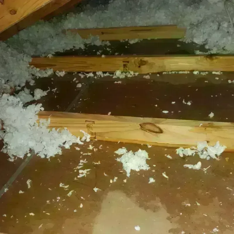 Attic Water Damage in Williamstown, PA